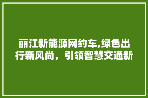 丽江新能源网约车,绿色出行新风尚，引领智慧交通新潮流