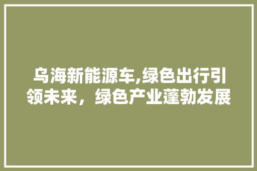 乌海新能源车,绿色出行引领未来，绿色产业蓬勃发展