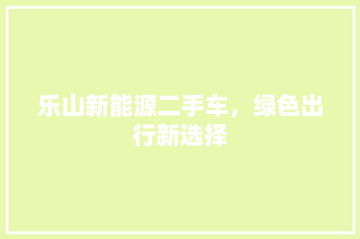 乐山新能源二手车，绿色出行新选择