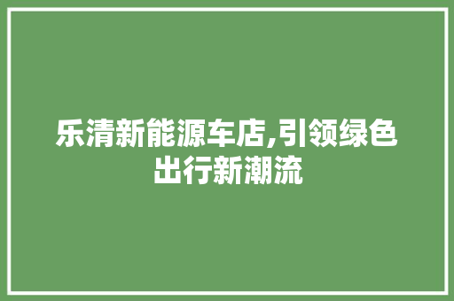 乐清新能源车店,引领绿色出行新潮流