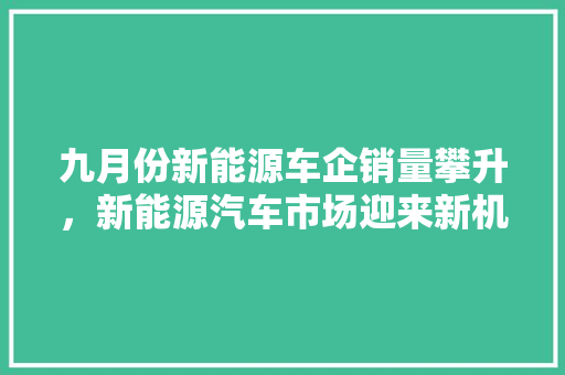 九月份新能源车企销量攀升，新能源汽车市场迎来新机遇