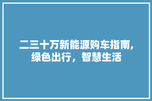 二三十万新能源购车指南,绿色出行，智慧生活