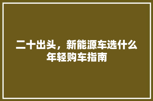 二十出头，新能源车选什么年轻购车指南