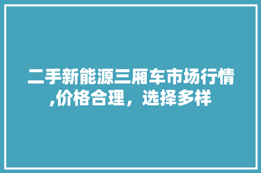 二手新能源三厢车市场行情,价格合理，选择多样