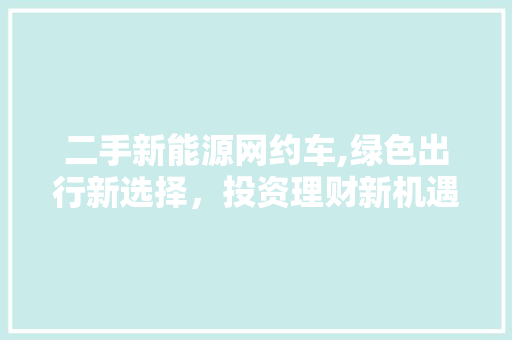 二手新能源网约车,绿色出行新选择，投资理财新机遇