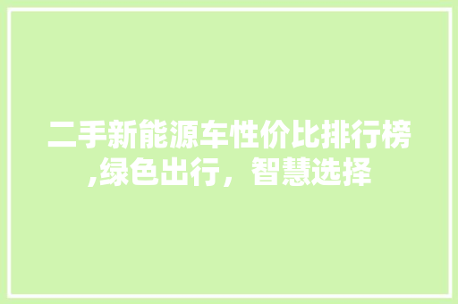 二手新能源车性价比排行榜,绿色出行，智慧选择
