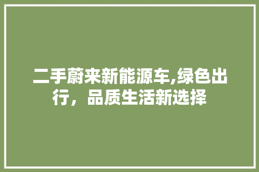 二手蔚来新能源车,绿色出行，品质生活新选择