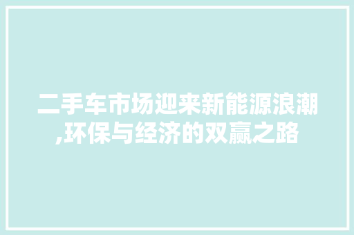 二手车市场迎来新能源浪潮,环保与经济的双赢之路