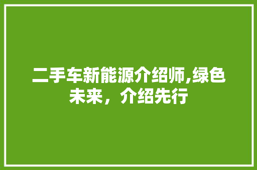 二手车新能源介绍师,绿色未来，介绍先行