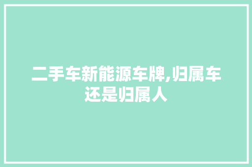 二手车新能源车牌,归属车还是归属人