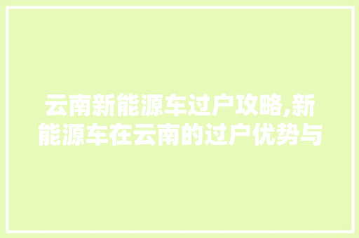 云南新能源车过户攻略,新能源车在云南的过户优势与注意事项