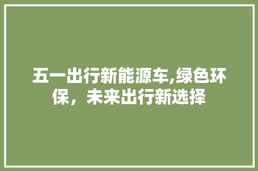 五一出行新能源车,绿色环保，未来出行新选择