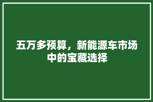 五万多预算，新能源车市场中的宝藏选择