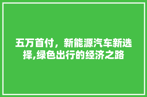 五万首付，新能源汽车新选择,绿色出行的经济之路