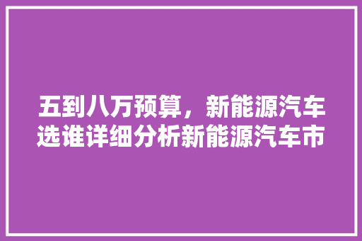 五到八万预算，新能源汽车选谁详细分析新能源汽车市场