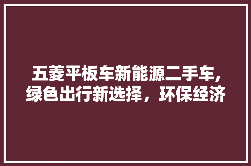 五菱平板车新能源二手车,绿色出行新选择，环保经济两不误