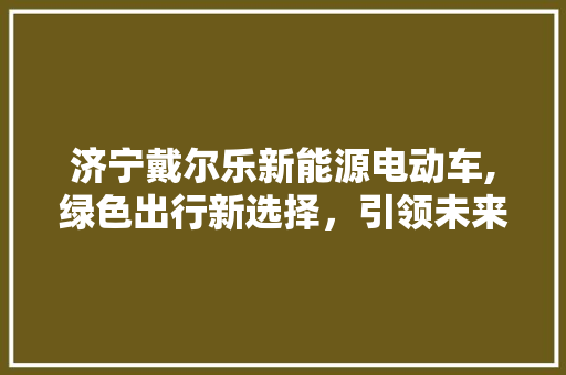 济宁戴尔乐新能源电动车,绿色出行新选择，引领未来出行潮流