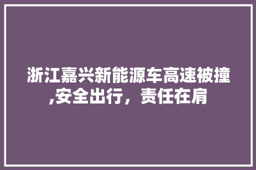 浙江嘉兴新能源车高速被撞,安全出行，责任在肩