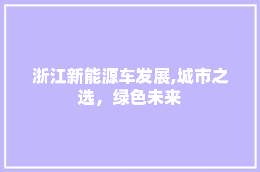 浙江新能源车发展,城市之选，绿色未来