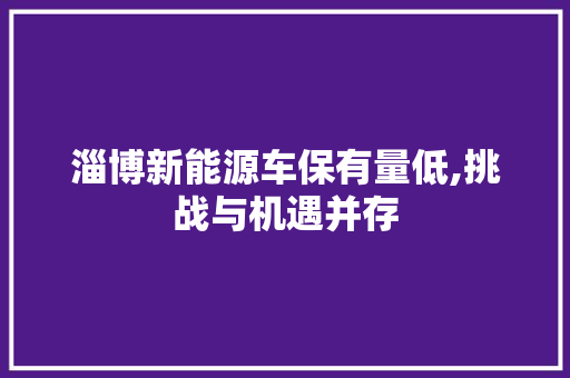淄博新能源车保有量低,挑战与机遇并存