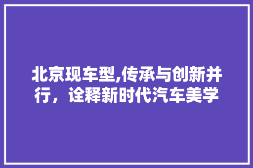北京现车型,传承与创新并行，诠释新时代汽车美学 底盘配件