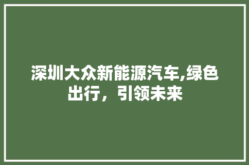 深圳大众新能源汽车,绿色出行，引领未来