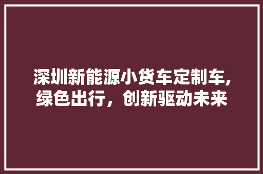 深圳新能源小货车定制车,绿色出行，创新驱动未来