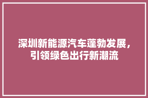 深圳新能源汽车蓬勃发展，引领绿色出行新潮流