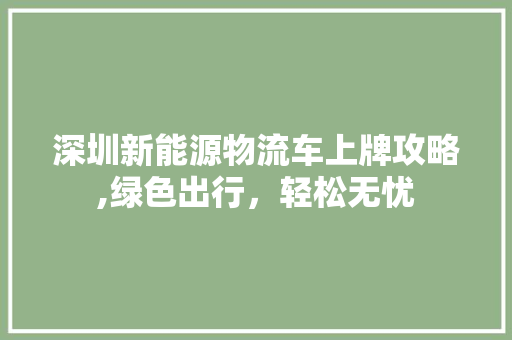 深圳新能源物流车上牌攻略,绿色出行，轻松无忧