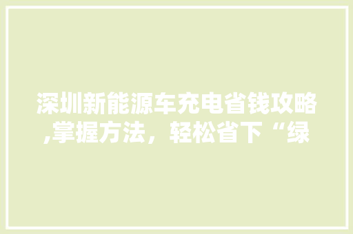 深圳新能源车充电省钱攻略,掌握方法，轻松省下“绿色油费”