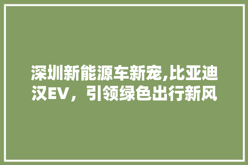 深圳新能源车新宠,比亚迪汉EV，引领绿色出行新风尚