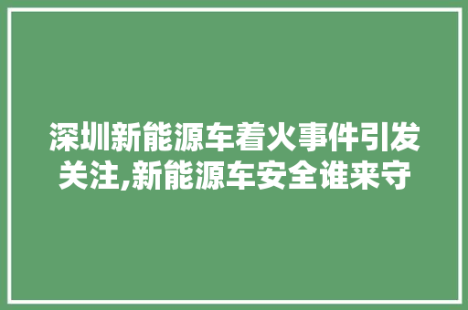 深圳新能源车着火事件引发关注,新能源车安全谁来守护