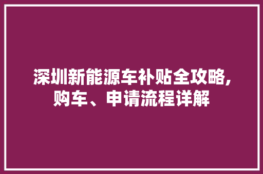 深圳新能源车补贴全攻略,购车、申请流程详解