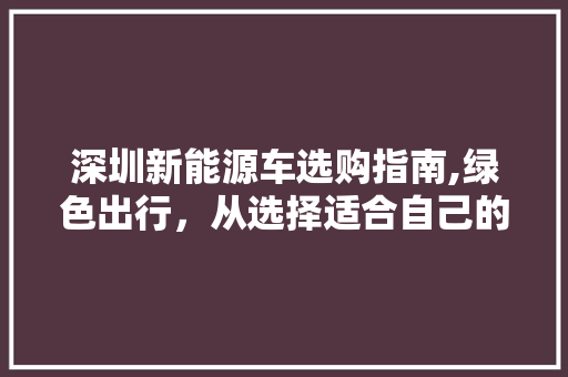 深圳新能源车选购指南,绿色出行，从选择适合自己的车型开始
