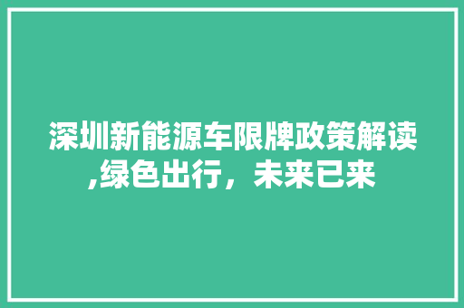 深圳新能源车限牌政策解读,绿色出行，未来已来
