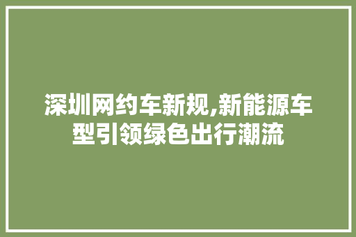 深圳网约车新规,新能源车型引领绿色出行潮流