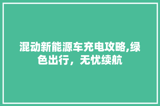 混动新能源车充电攻略,绿色出行，无忧续航 变速箱配件