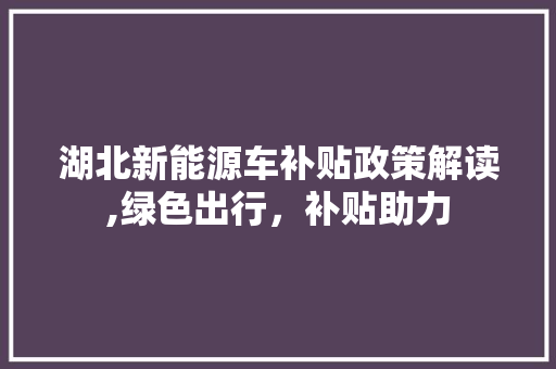湖北新能源车补贴政策解读,绿色出行，补贴助力