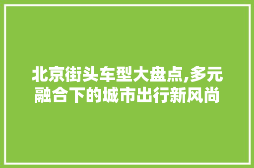 北京街头车型大盘点,多元融合下的城市出行新风尚
