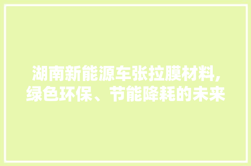 湖南新能源车张拉膜材料,绿色环保、节能降耗的未来出行利器