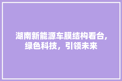 湖南新能源车膜结构看台,绿色科技，引领未来