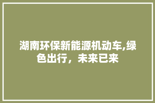 湖南环保新能源机动车,绿色出行，未来已来