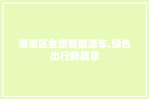 湖里区金旅新能源车,绿色出行新篇章