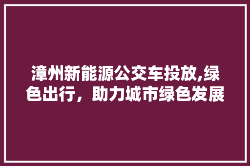 漳州新能源公交车投放,绿色出行，助力城市绿色发展 车灯配件