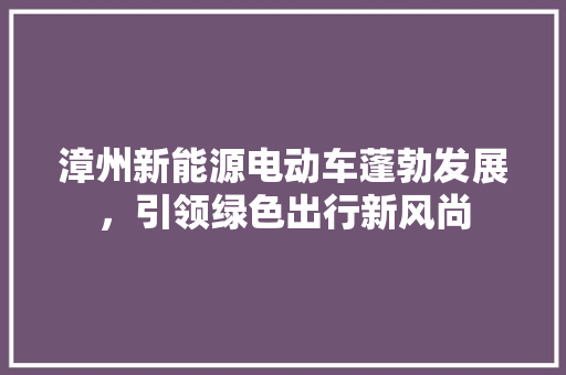 漳州新能源电动车蓬勃发展，引领绿色出行新风尚