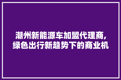 潮州新能源车加盟代理商,绿色出行新趋势下的商业机遇