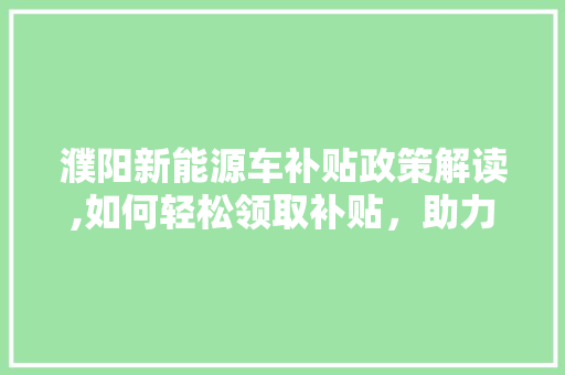 濮阳新能源车补贴政策解读,如何轻松领取补贴，助力绿色出行
