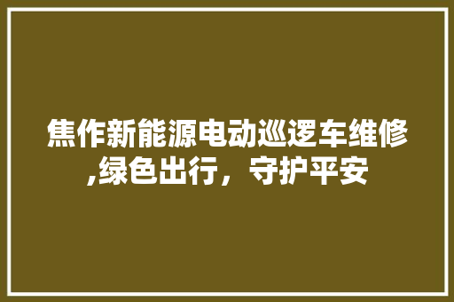 焦作新能源电动巡逻车维修,绿色出行，守护平安