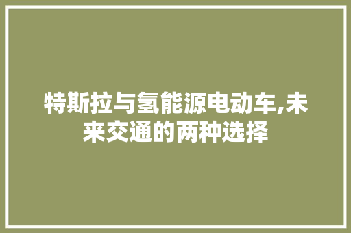 特斯拉与氢能源电动车,未来交通的两种选择