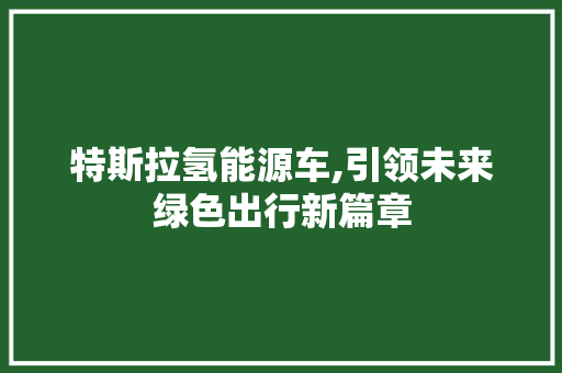 特斯拉氢能源车,引领未来绿色出行新篇章